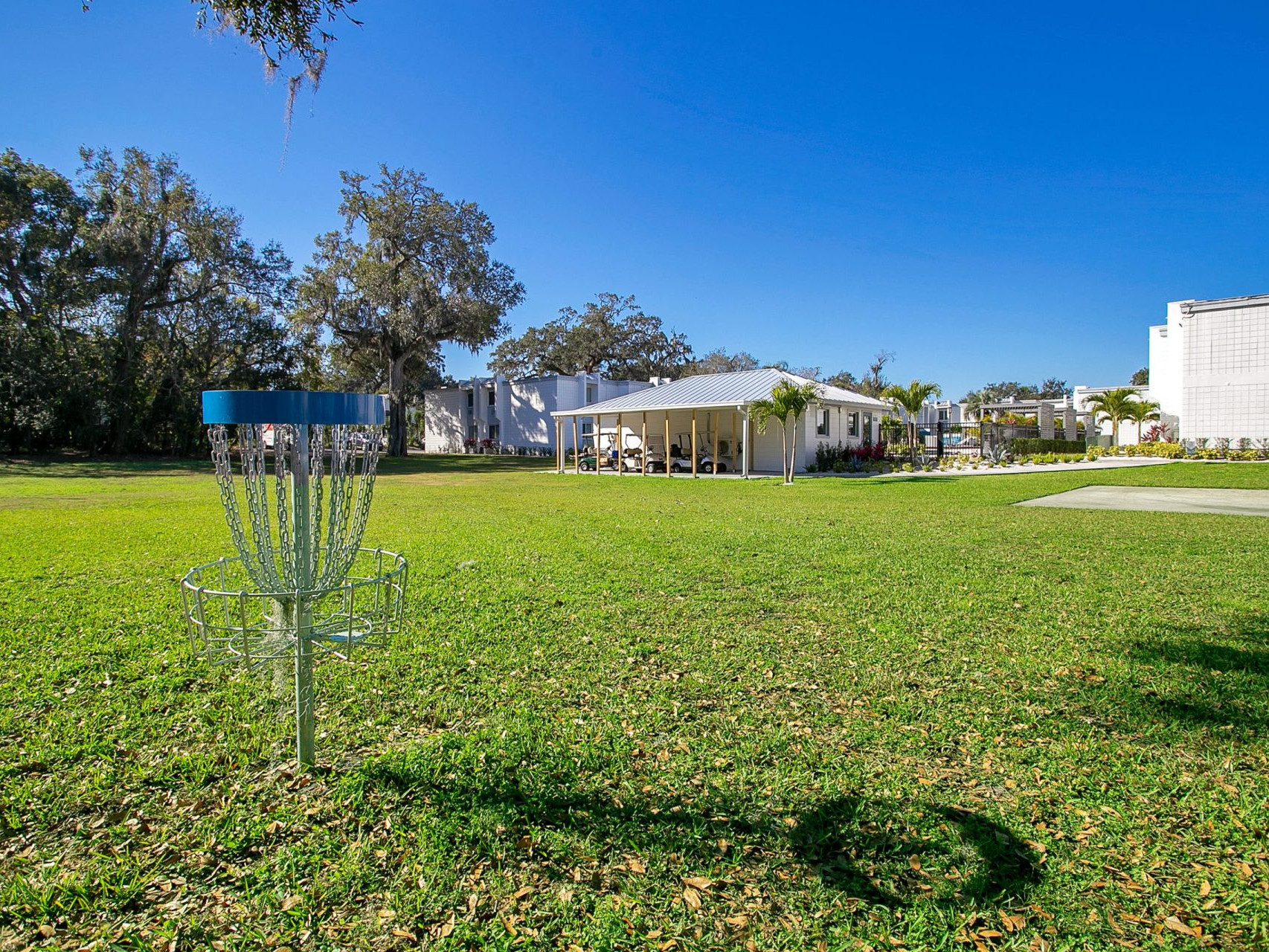 A dico golf basket on a large grassy area with views of SoDo Flats leasing office and swimming pool.