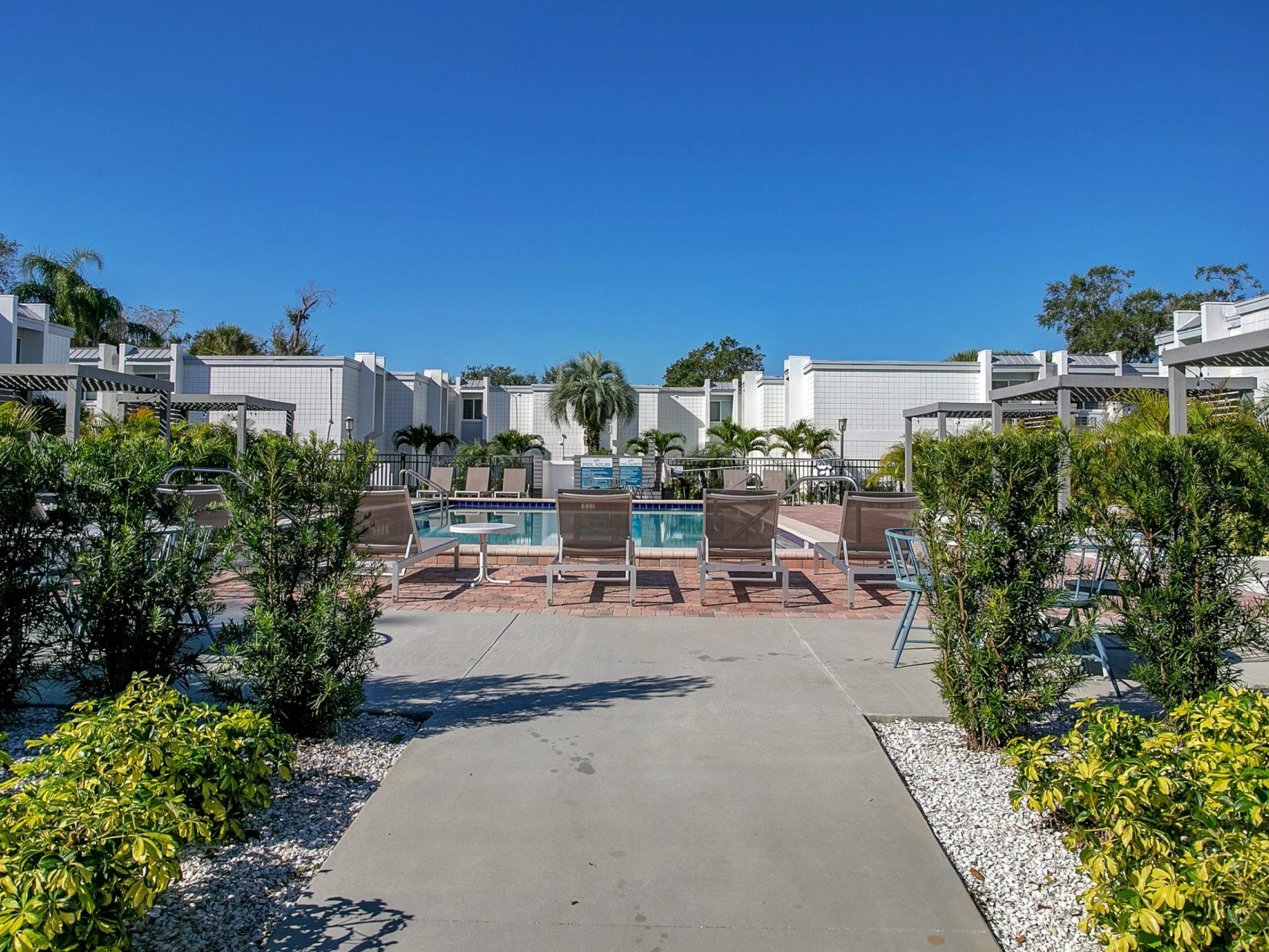 Community pool with lounge chairs, covered pergola seating areas, and palm trees at SoDo Flats.